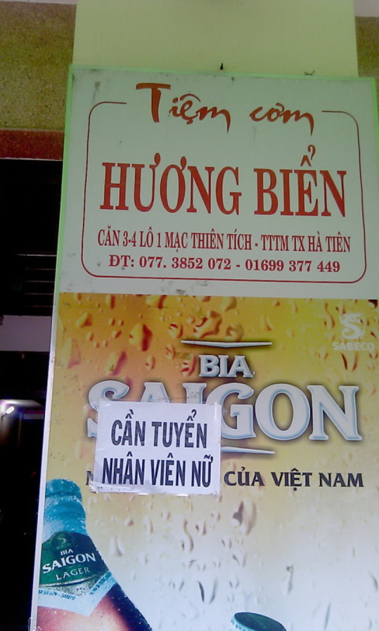 Matiz: chân ngắn trên đường dài! Festival Đà Lạt 2013.(p204)