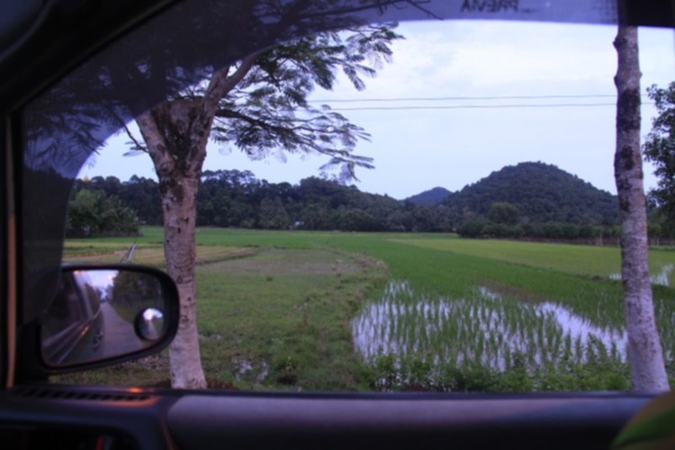 Matiz: chân ngắn trên đường dài! Festival Đà Lạt 2013.(p204)