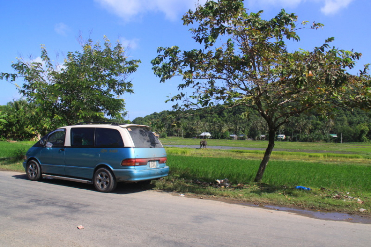 Matiz: chân ngắn trên đường dài! Festival Đà Lạt 2013.(p204)