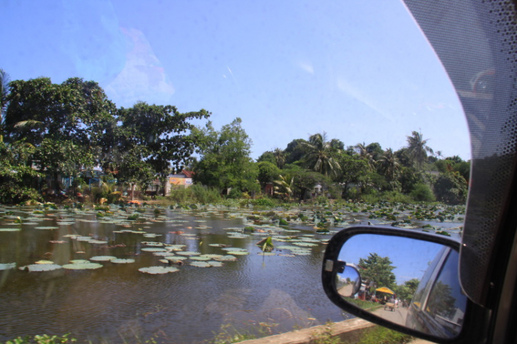 Matiz: chân ngắn trên đường dài! Festival Đà Lạt 2013.(p204)