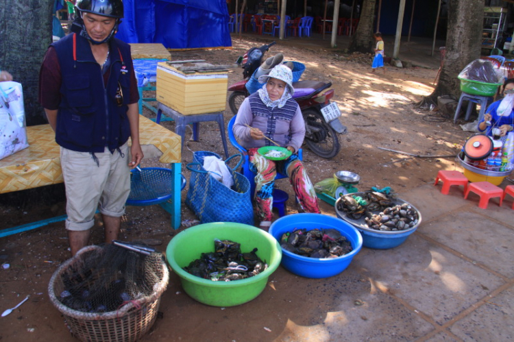 Matiz: chân ngắn trên đường dài! Festival Đà Lạt 2013.(p204)