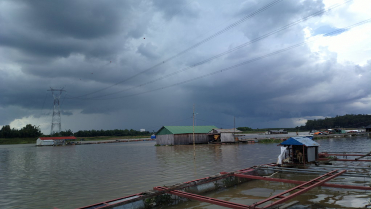 Du ngoạn trên biển bằng xuồng phao bơm hơi.