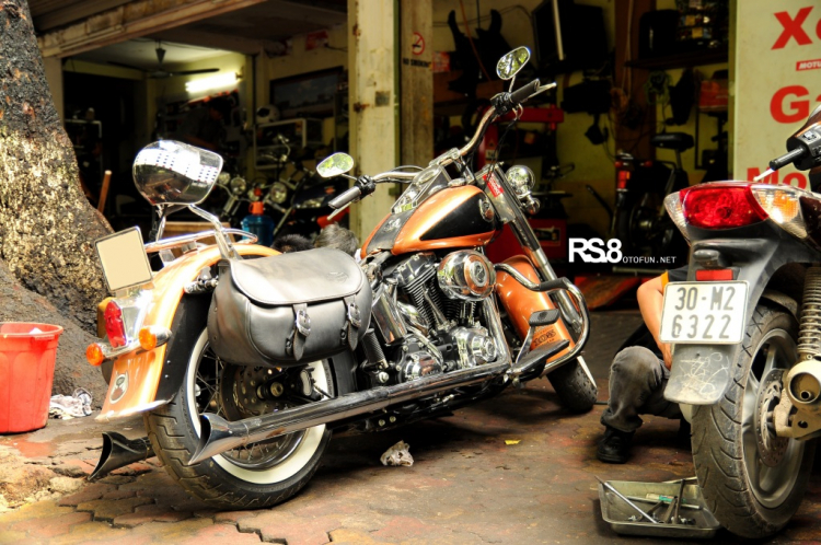 PKL Việt Nam (II): Harley Davidson Owner Group Hà Nội