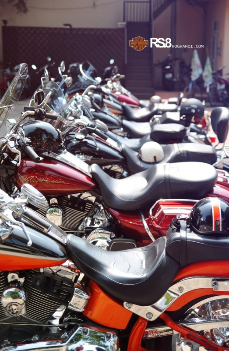 PKL Việt Nam (II): Harley Davidson Owner Group Hà Nội