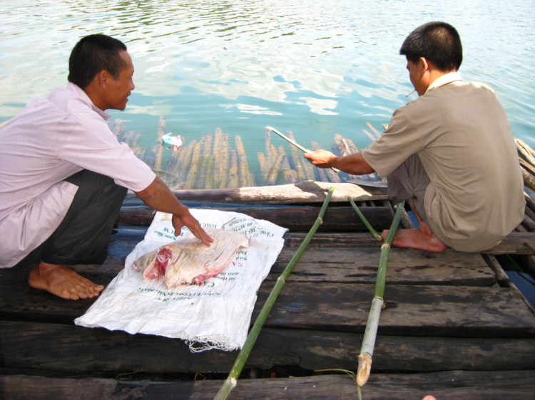4 Ngay sống với thiên nhiên