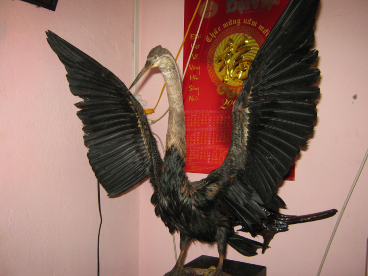 4 Ngay sống với thiên nhiên