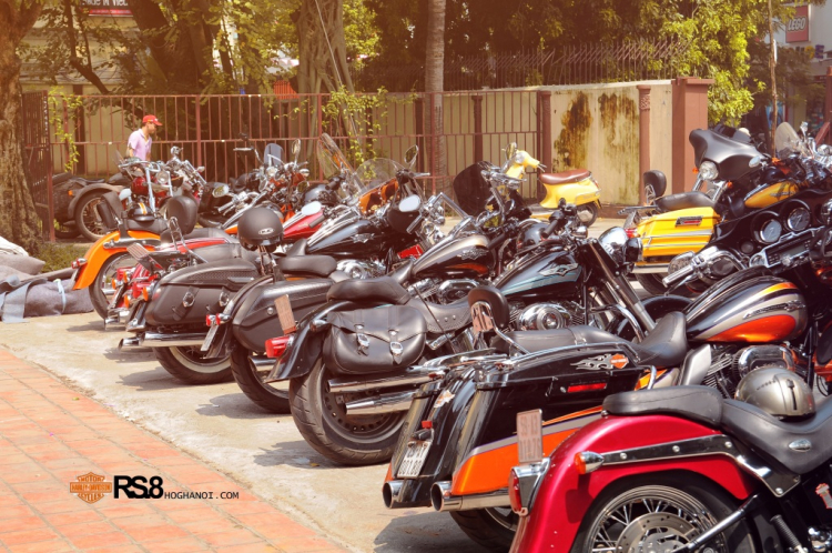 PKL Việt Nam (II): Harley Davidson Owner Group Hà Nội