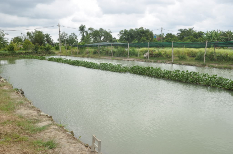 OS.XNL - Hình ảnh Chương trình chào mừng 2/9 - Trang 5 OS.XNL - Hình ảnh Chương trình chào mừng 2/9 - Trang 5