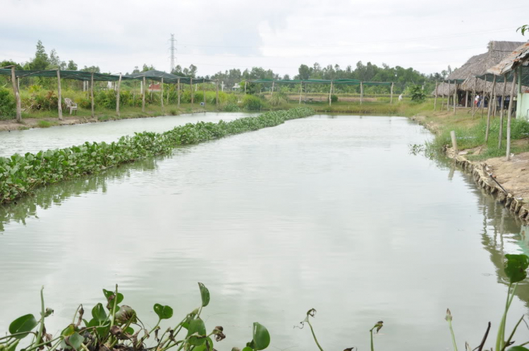 OS.XNL - Hình ảnh Chương trình chào mừng 2/9 - Trang 5 OS.XNL - Hình ảnh Chương trình chào mừng 2/9 - Trang 5