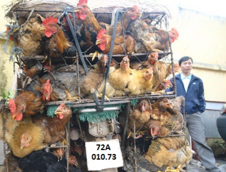 Nơi Anh em Kia OS tại Vũng Tàu tụ họp nè! Nơi Anh em Kia OS tại Vũng Tàu tụ họp nè!