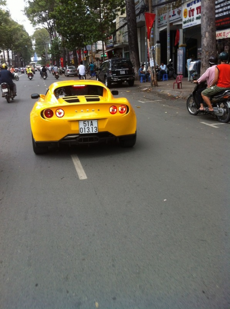Bông sen nước Anh trên đường phố Sài Gòn