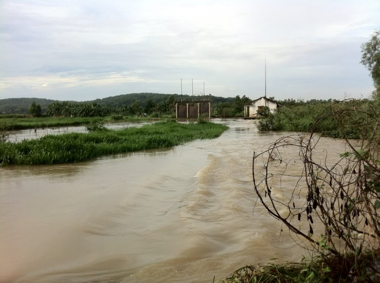 Săn cá thần - Đặng Thiều Quang