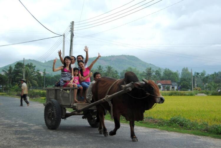 Bản tin XNL – Nha Trang