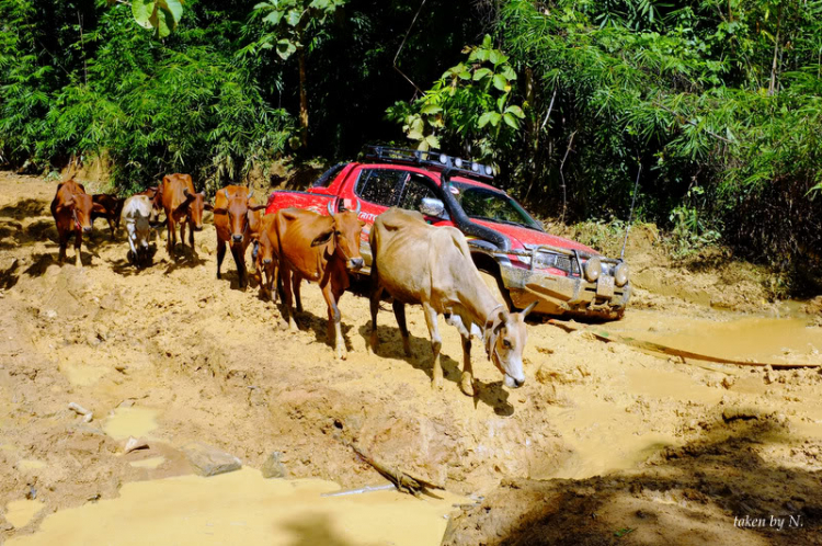 Ảnh hành trình tiền trạm cùng hội Xe Địa Hình Sài Gòn cho giải off-road "khủng" SAT 2012