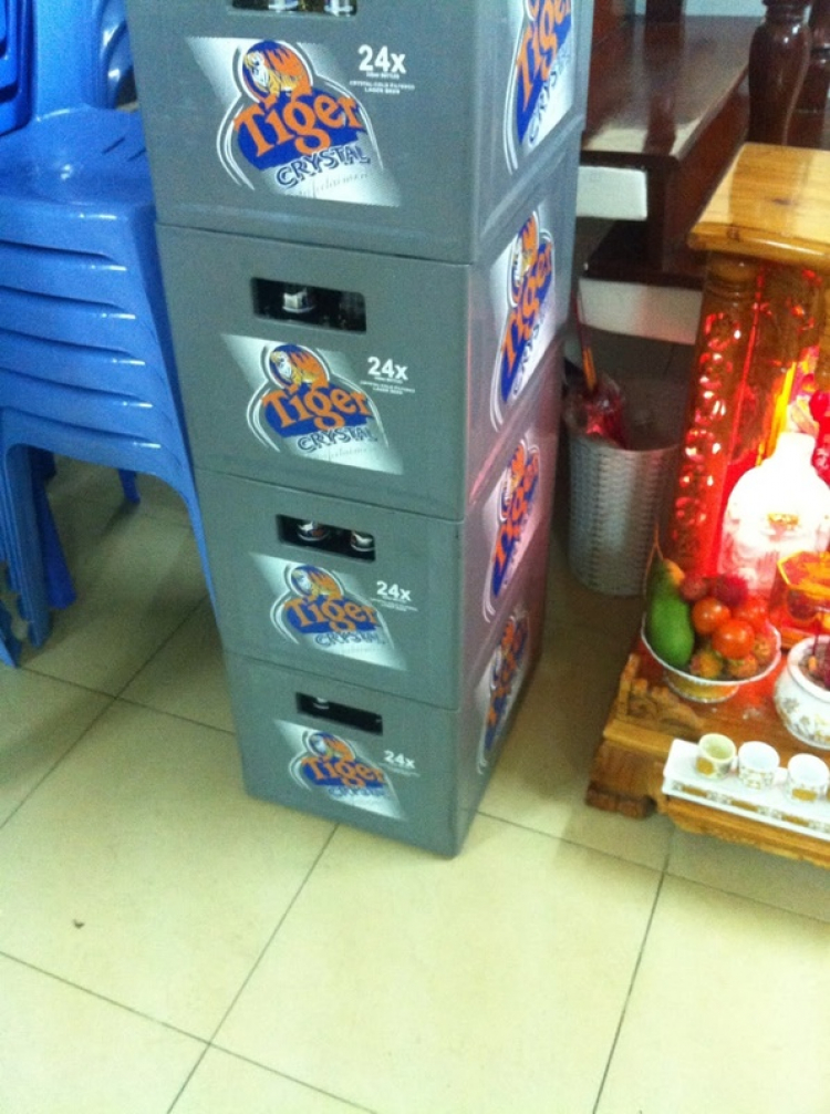 Thứ Ba: Ngày Hội Kết Nối Thành Viên