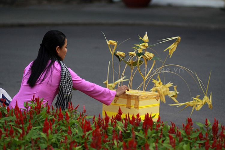 Miệt vườn