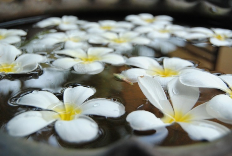Bản tin XNL – Nha Trang Bản tin XNL – Nha Trang