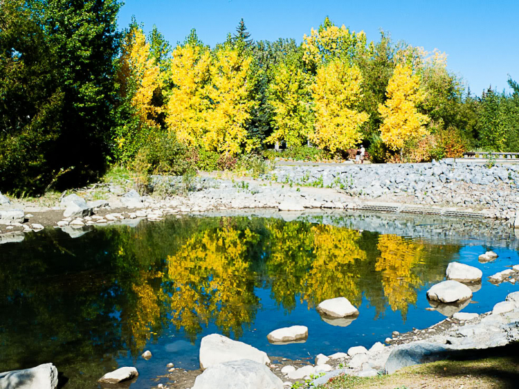 Một góc nhìn nhỏ về cuộc sống Canada.