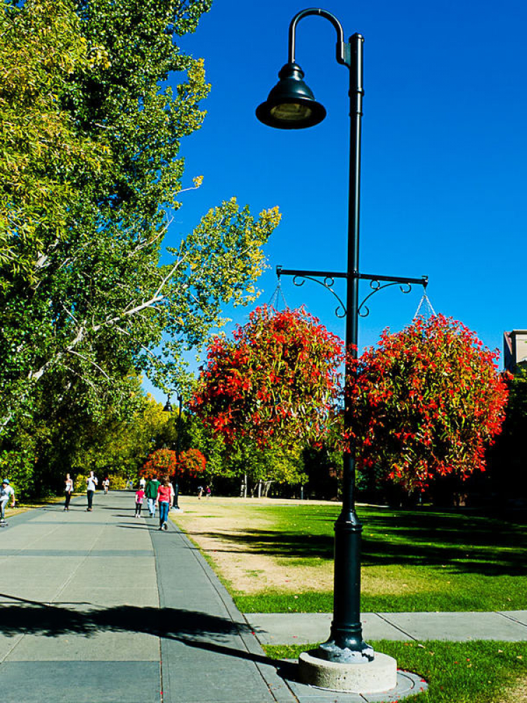 Một góc nhìn nhỏ về cuộc sống Canada.