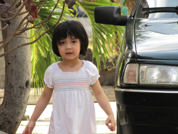 Peugeot 405 tại Việt Nam