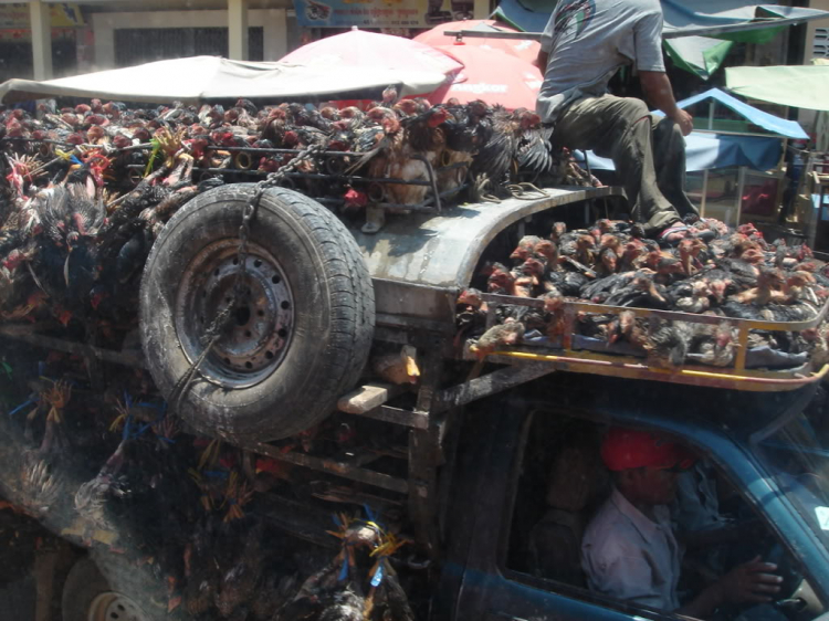 KIAFC – DU LỊCH BỤI CAMBODIA 2012