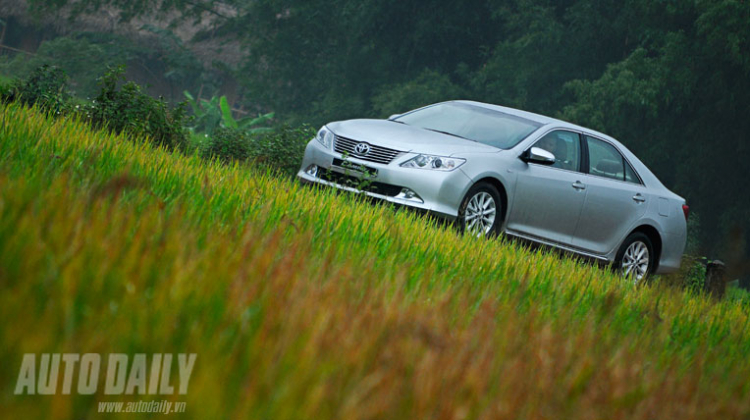 Camry 2.0E trên thảm lúa 3 màu tuyệt đẹp :)