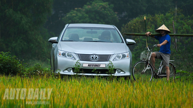 Camry 2.0E trên thảm lúa 3 màu tuyệt đẹp :)