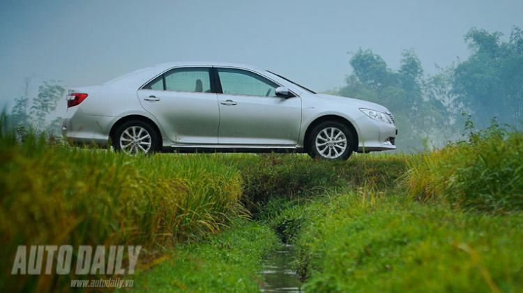 Camry 2.0E trên thảm lúa 3 màu tuyệt đẹp :)