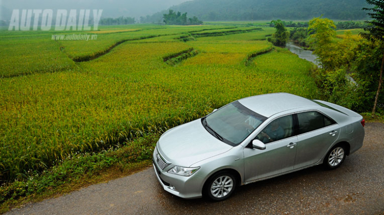 Camry 2.0E trên thảm lúa 3 màu tuyệt đẹp :) Camry 2.0E trên thảm lúa 3 màu tuyệt đẹp :)