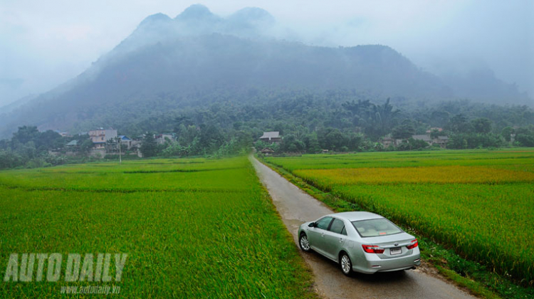 Camry 2.0E trên thảm lúa 3 màu tuyệt đẹp :)