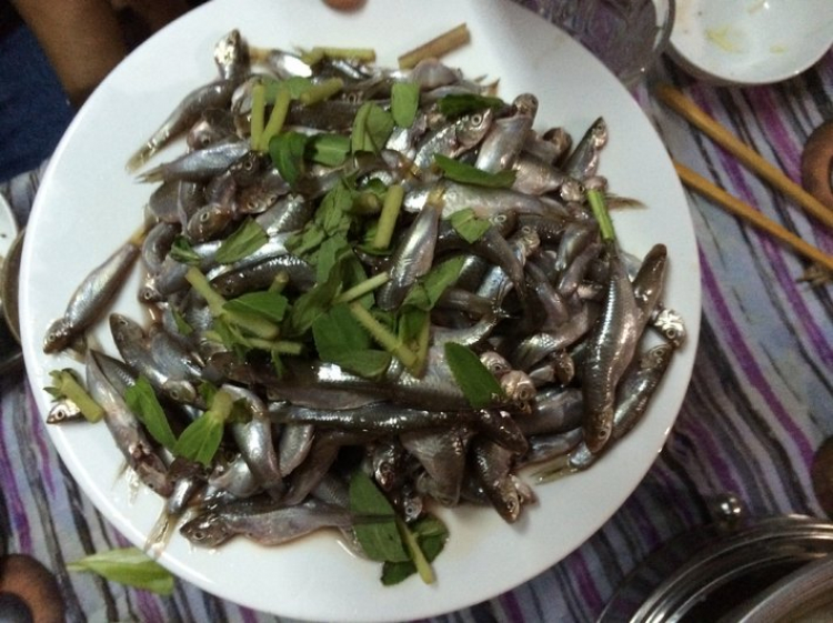 HÌNH ẢNH CHUYẾN ĐI "CÁ LINH MÙA NƯỚC NỔI" 23~24.08.2014 HÌNH ẢNH CHUYẾN ĐI "CÁ LINH MÙA NƯỚC NỔI" 23~24.08.2014