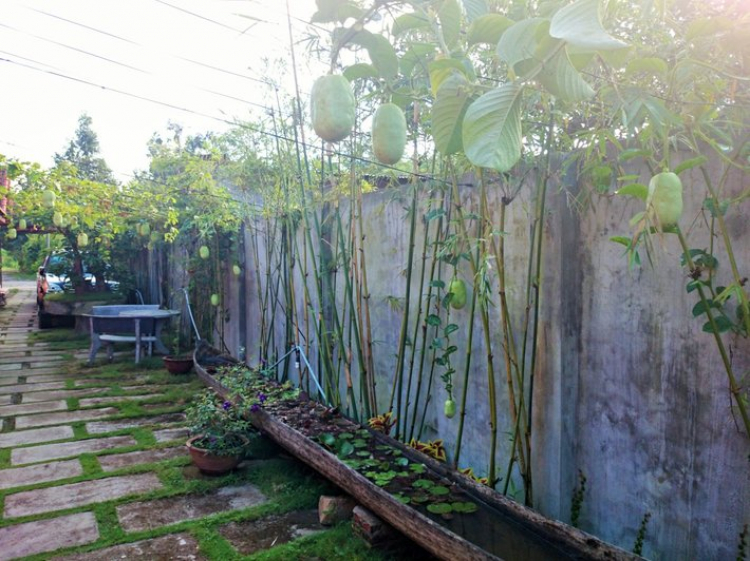 Chuyến du lịch hè 2014 biển và núi của nhà em. Chuyến du lịch hè 2014 biển và núi của nhà em.