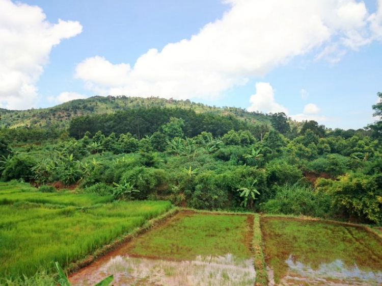 Chuyến du lịch hè 2014 biển và núi của nhà em. Chuyến du lịch hè 2014 biển và núi của nhà em.
