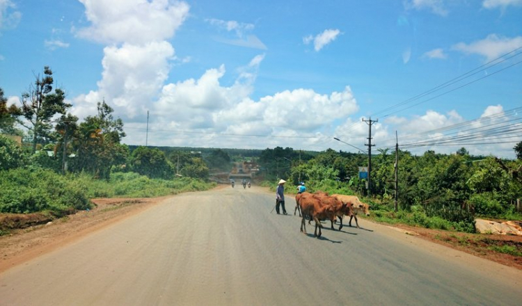 Chuyến du lịch hè 2014 biển và núi của nhà em.