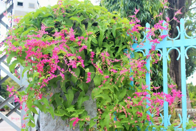 Chuyến du lịch hè 2014 biển và núi của nhà em. Chuyến du lịch hè 2014 biển và núi của nhà em.