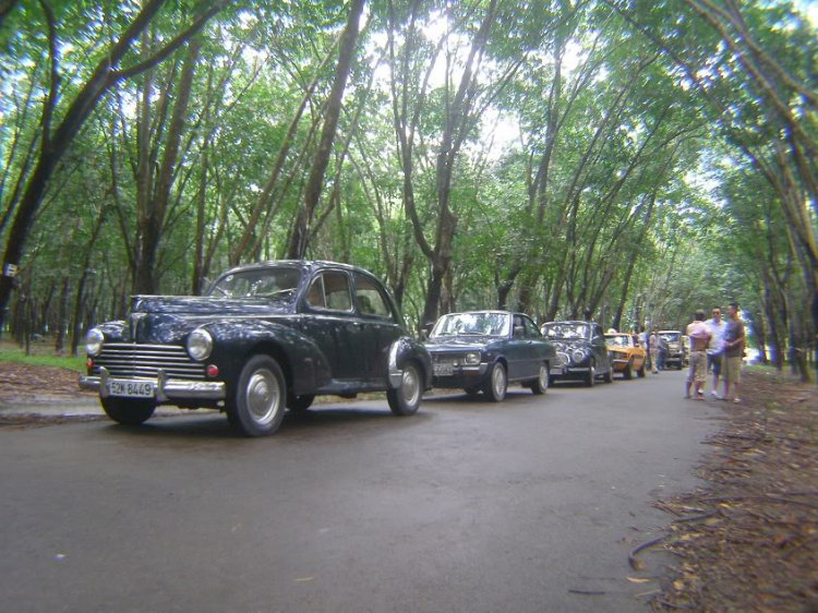 CLB Xe Cổ Saigon: Tour Hồ Cần Nôm rừng Cao su Dầu Tiếng - 16.9.2012 CLB Xe Cổ Saigon: Tour Hồ Cần Nôm rừng Cao su Dầu Tiếng - 16.9.2012
