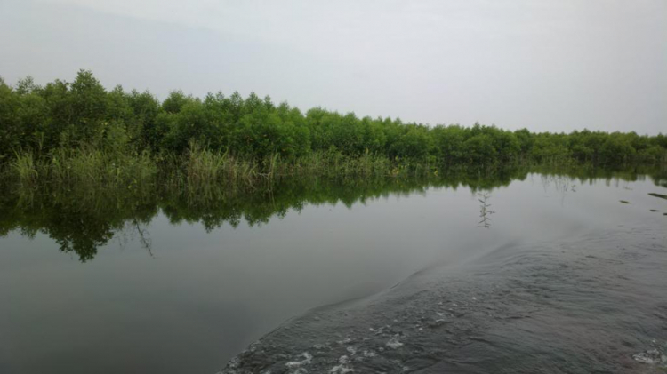 Du ngoạn trên biển bằng xuồng phao bơm hơi. Du ngoạn trên biển bằng xuồng phao bơm hơi.