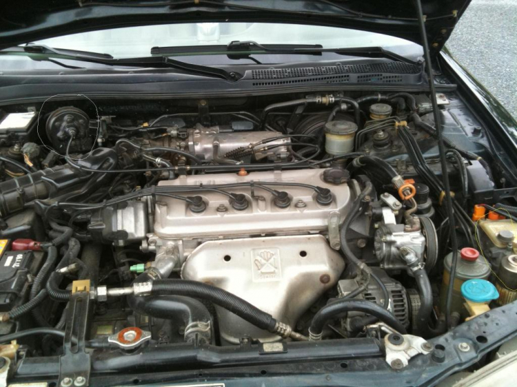 ACCORD CLUB : Chuyên Mục Accord 94-97 ACCORD CLUB : Chuyên Mục Accord 94-97