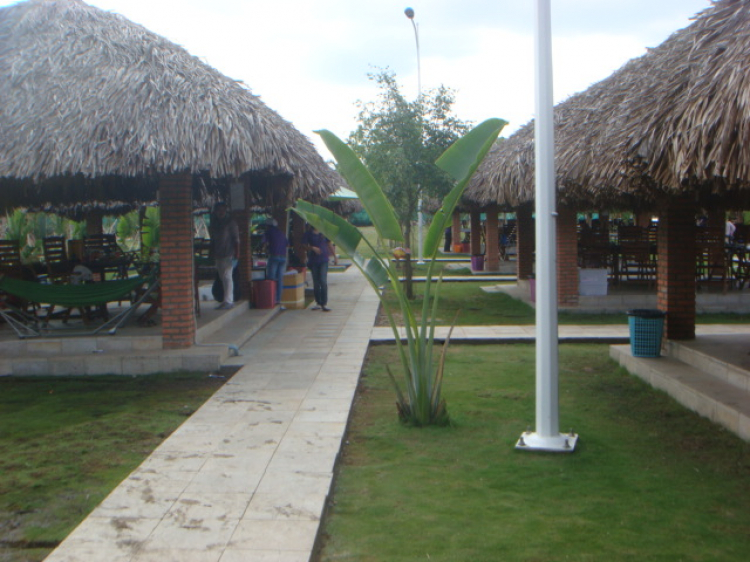 Thủ Đức_cafe hàng tuần Thủ Đức_cafe hàng tuần