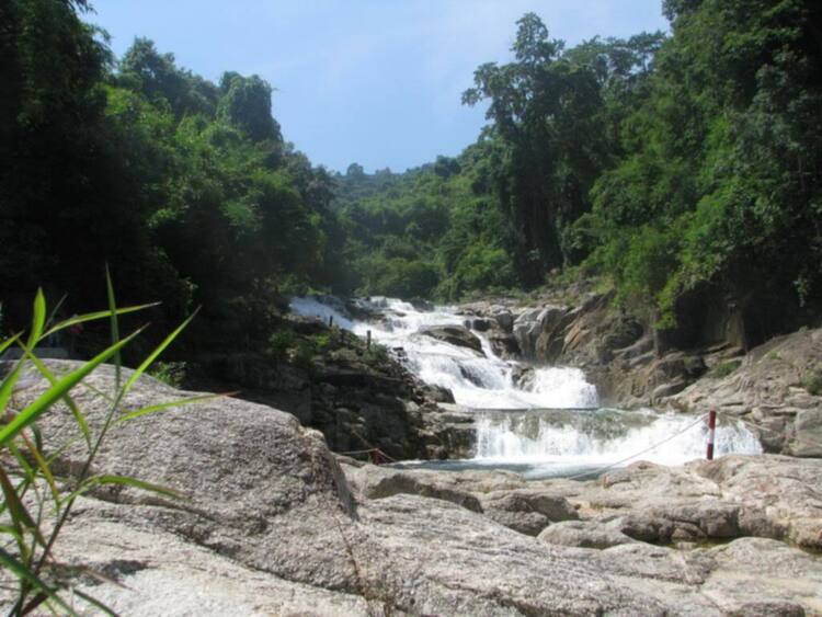 Yang Bay - Ngày mới