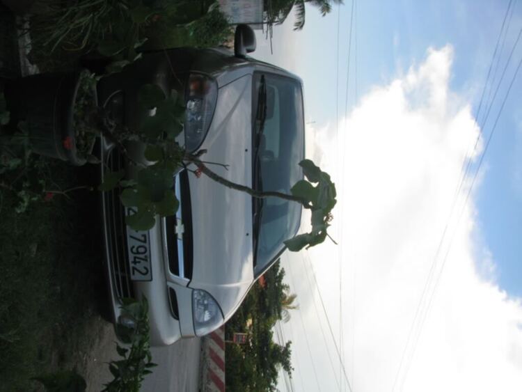 Accord Club: Tụ tập vui chơi, cà phê, ọp ẹp Accord Club: Tụ tập vui chơi, cà phê, ọp ẹp