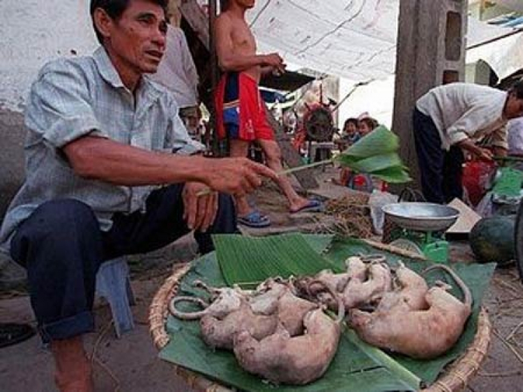 Miệt vườn