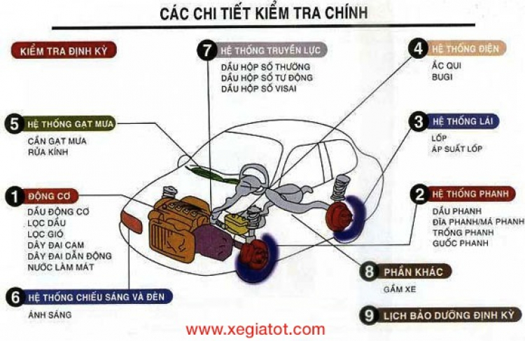 Những lưu ý khi chọn mua xe hơi