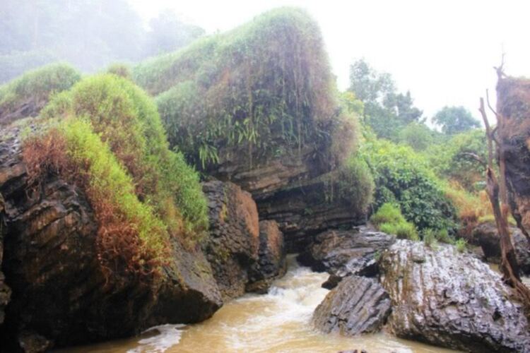 du lịch cùng ông bà nội