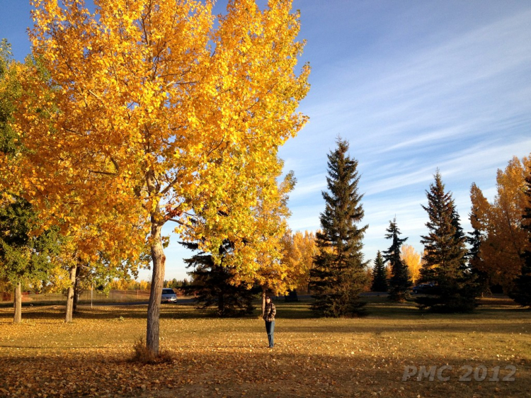 Một góc nhìn nhỏ về cuộc sống Canada.