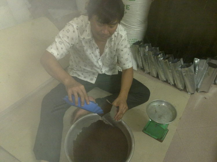 Tổng hợp quy trình sản xuất cà phê Nông dân