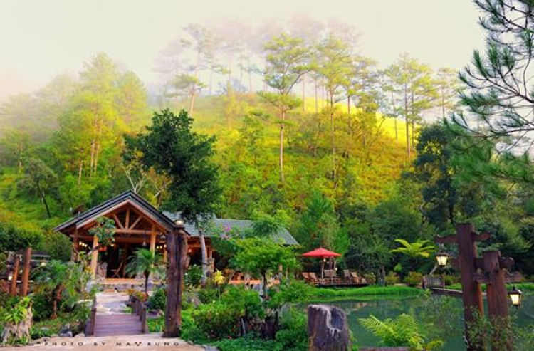 DALAT GIỜ CHỈ CÒN TRONG KÝ ỨC DALAT GIỜ CHỈ CÒN TRONG KÝ ỨC