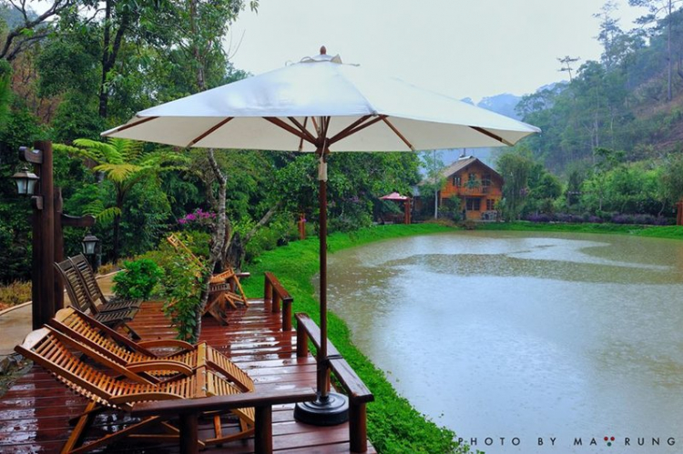 DALAT GIỜ CHỈ CÒN TRONG KÝ ỨC DALAT GIỜ CHỈ CÒN TRONG KÝ ỨC