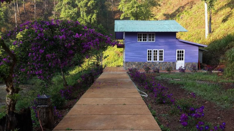 DALAT GIỜ CHỈ CÒN TRONG KÝ ỨC DALAT GIỜ CHỈ CÒN TRONG KÝ ỨC
