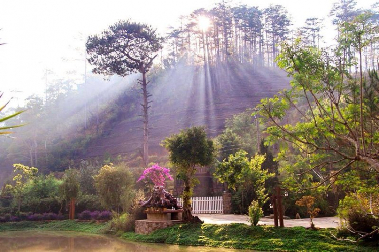 DALAT GIỜ CHỈ CÒN TRONG KÝ ỨC DALAT GIỜ CHỈ CÒN TRONG KÝ ỨC